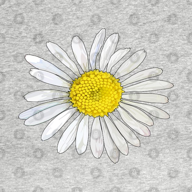 Daisy by M[ ]